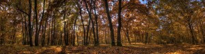 Foto: Adrian Borda